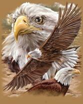 Без бренда «2KMB-4315» в Нижневартовске