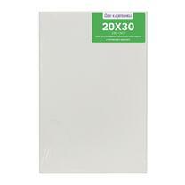 Без бренда «Коробка 80 шт.: Холст Две картинки на подрамнике 20X30» в Нижневартовске