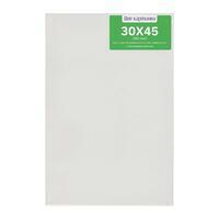 Без бренда «Коробка 40 шт.: Холст Две картинки на подрамнике 30X45» в Нижневартовске