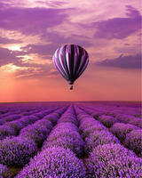 Без бренда «Фиолетовый воздушный шар над фиолетовым лавандовым полем (20шт)» в Нижневартовске