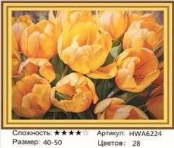 Алмазная мозаика 40x50 HWA6224