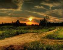 Без бренда «Проселочная дорога на закате» в Нижневартовске