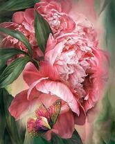 Розовый пион и бабочка