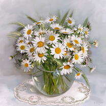 Без бренда «Букет свежих ромашек» в Нижневартовске