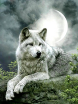 Без бренда «Коробка 25 шт. картин по номерам BOX25-GX21058» в Нижневартовске