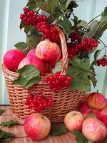 Без бренда «Коробка 25 шт. картин по номерам BOX25-GX5174» в Нижневартовске в интернет-магазине  Без бренда «Коробка 25 шт. картин по номерам BOX25-GX5174» в Нижневартовске