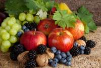 Без бренда «Фрукты, ягоды и орехи» в Нижневартовске в интернет-магазине Без бренда «Фрукты, ягоды и орехи» в Нижневартовске