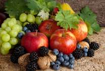 Без бренда «Фрукты, ягоды и орехи» в Нижневартовске в интернет-магазине  Без бренда «Фрукты, ягоды и орехи» в Нижневартовске