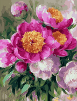 Пионы неимоверной красоты