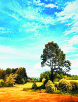 Без бренда «Осенний пейзаж с голубым небом» в Нижневартовске в интернет-магазине  Без бренда «Осенний пейзаж с голубым небом» в Нижневартовске