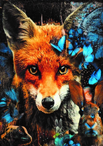 Без бренда «Лиса и синие бабочки» в Нижневартовске