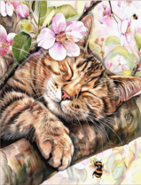 Без бренда «Волосатый котик спит на ветви яблони» в Нижневартовске в интернет-магазине  Без бренда «Волосатый котик спит на ветви яблони» в Нижневартовске