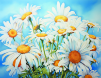 Пышный букет ромашек