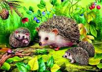 Семья ёжей на ягодной поляне